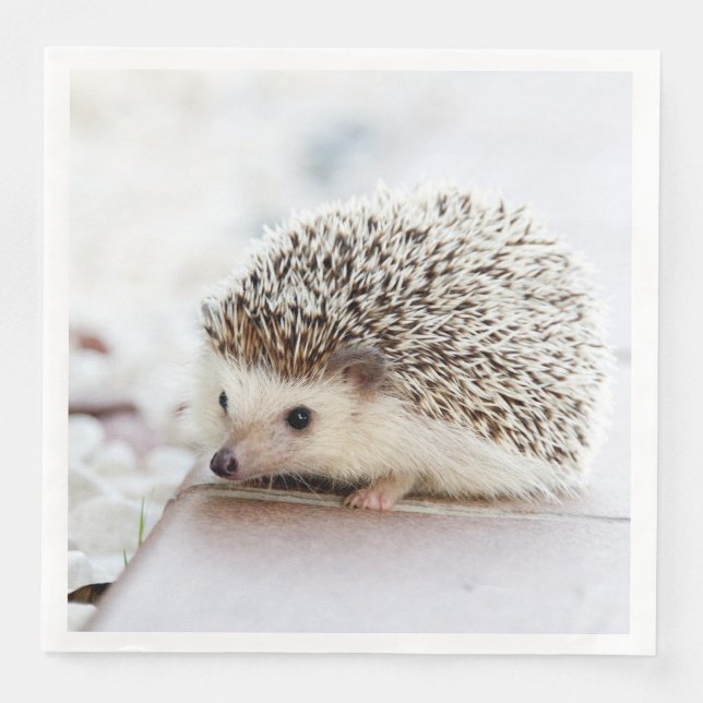 Servilleta De Papel De Cena Animal Cute Baby Hedgehog (Anverso)