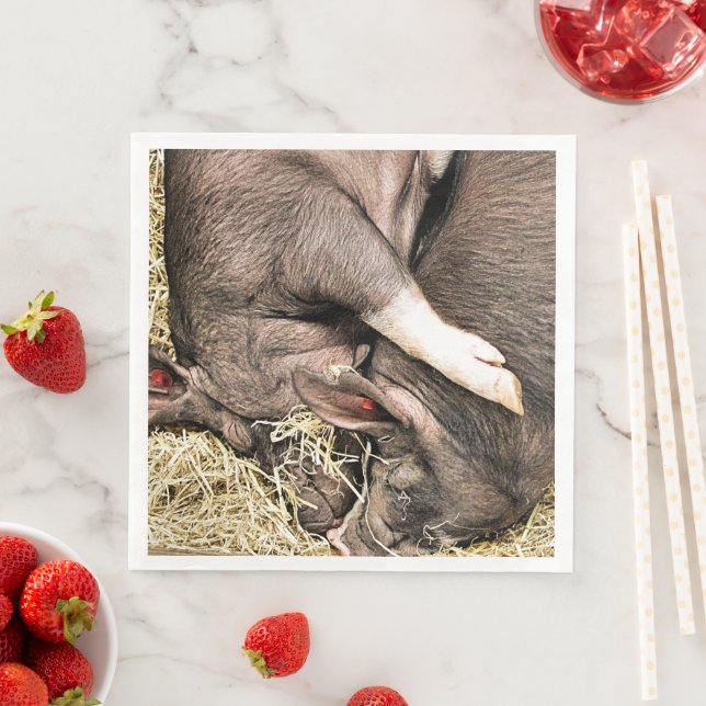 SERVILLETA DE PAPEL DE CENA CERDITOS CUIDADOS (In situ)