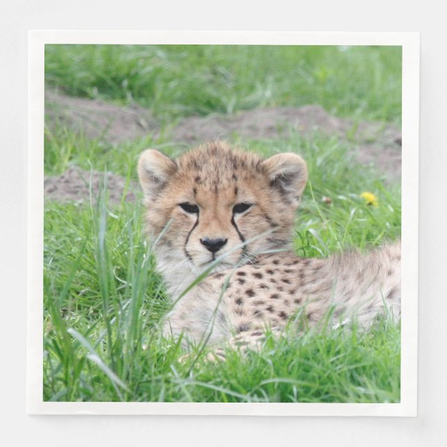 Servilleta De Papel De Cena Cheetah 002 (Anverso)
