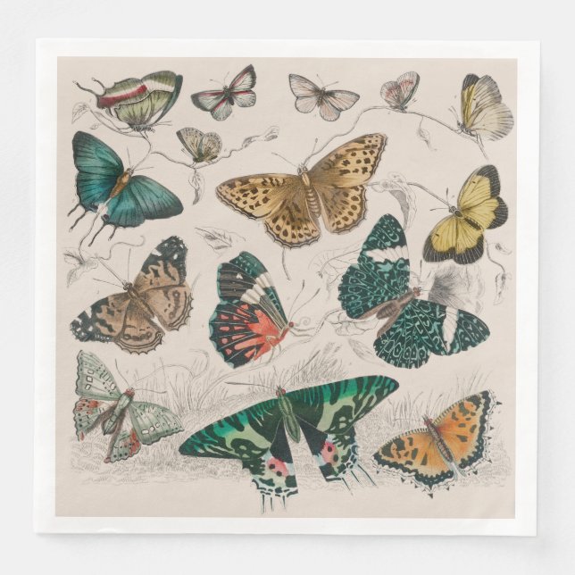 Servilleta De Papel De Cena Colección de mariposa Mariposas antiguas (Anverso)