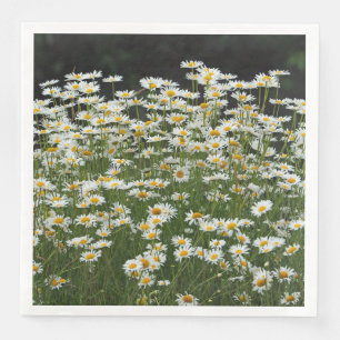 Servilleta De Papel De Cena Cuadros de Daisies Blancos