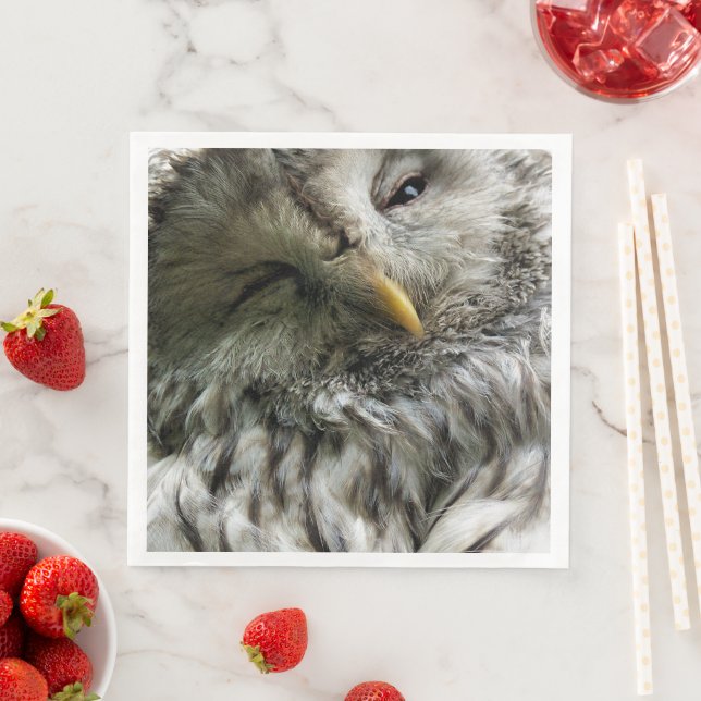 SERVILLETA DE PAPEL DE CENA CUTE OWL (In situ)