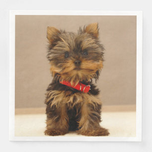 Servilleta De Papel De Cena Cute Yorkshire Terrier