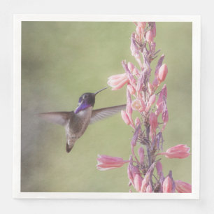 Servilleta De Papel De Cena El colibrí encantador