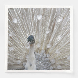 Servilleta De Papel De Cena Elegante Albino Peacock