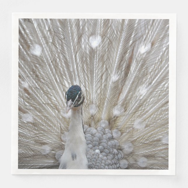 Servilleta De Papel De Cena Elegante Albino Peacock (Anverso)