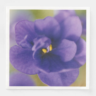 Servilleta De Papel De Cena Flor Azul Florecida de Saintpaulia Violeta Acercad