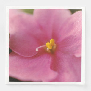 Servilleta De Papel De Cena Flor violeta rosada pastoral africana (Saintpaulia