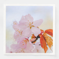 Flores rosadas sakura - Flor japonesa de cerezo