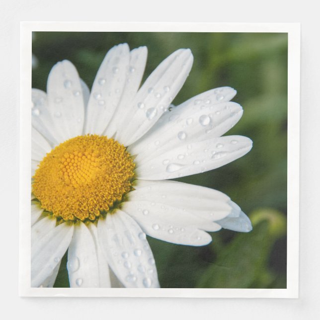 Servilleta De Papel De Cena fotografía, un margueritte, hacen verde (Anverso)