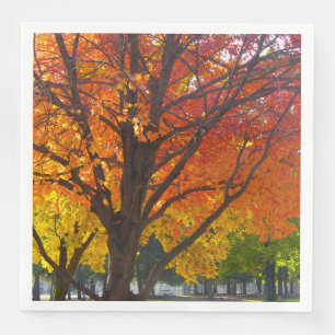 Servilleta De Papel De Cena Hojas otoñales de foto amarilla y Naranja