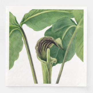 SERVILLETA DE PAPEL DE CENA ILUSTRACION BOTÁNICO RETRO: JACK IN THE PULPIT