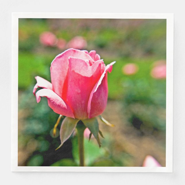 Servilleta De Papel De Cena Jardín de Rosas Rosadas (Anverso)