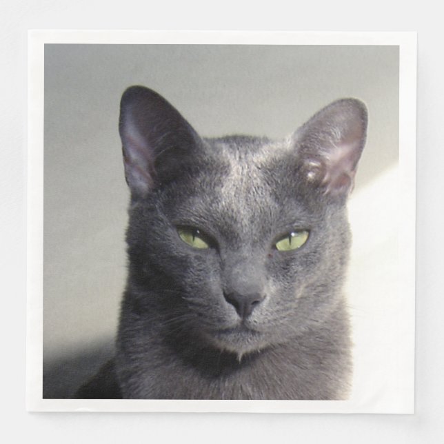 Servilleta De Papel De Cena korat (Anverso)