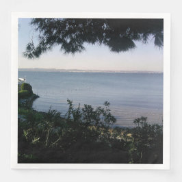 Servilleta De Papel De Cena Lugar