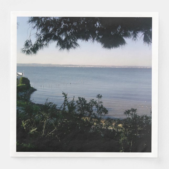 Servilleta De Papel De Cena Lugar (Anverso)