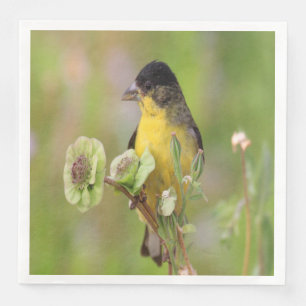 Servilleta De Papel De Cena Male Goldfinch