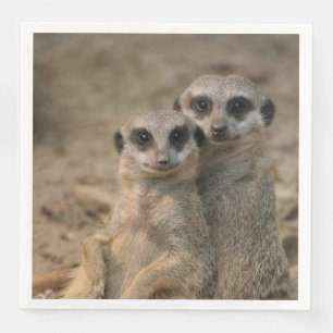 Servilleta De Papel De Cena Meerkat 067