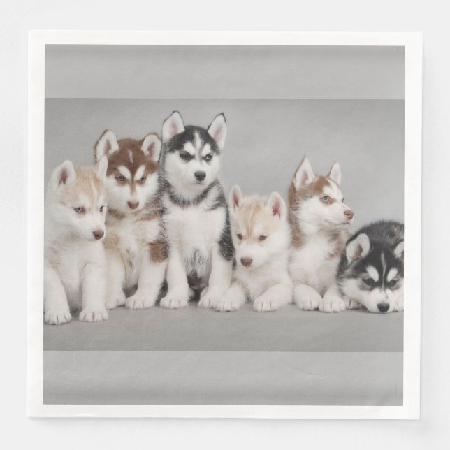 Servilleta De Papel De Cena Napkins Siberian Huskies Paper (Anverso)