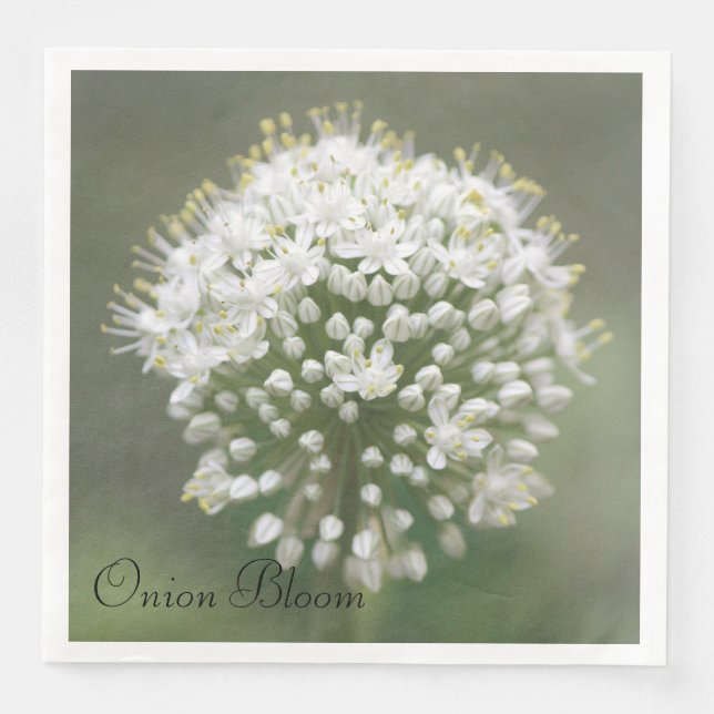 Servilleta De Papel De Cena Nápoles de papel verde oliva (Anverso)