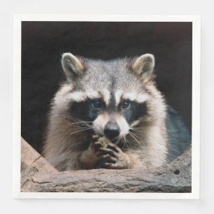 Servilleta De Papel De Cena Raccoon 004