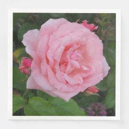 Servilleta De Papel De Cena Rosa Clásica Rosa