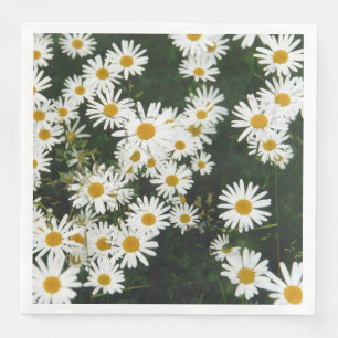 Servilleta De Papel De Cena White Oxeye Daisy Meadow