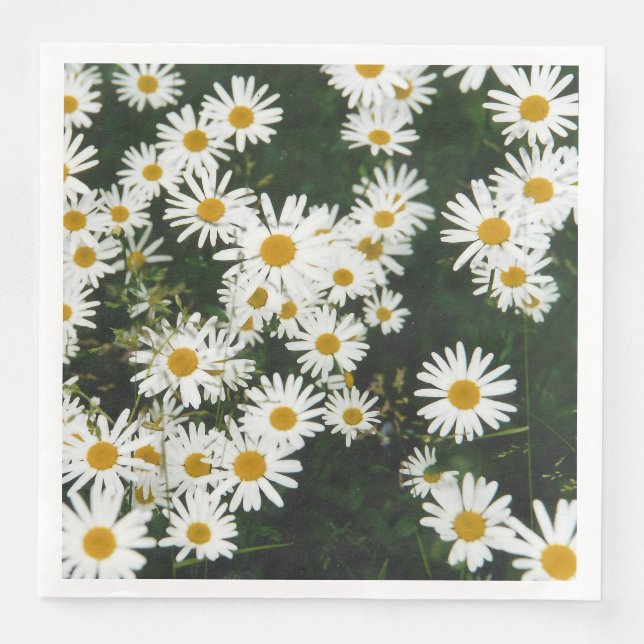 Servilleta De Papel De Cena White Oxeye Daisy Meadow (Anverso)