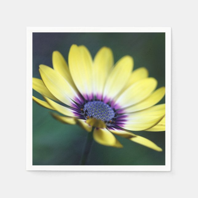 Servilleta de papel de centro amarillo púrpura (Anverso)