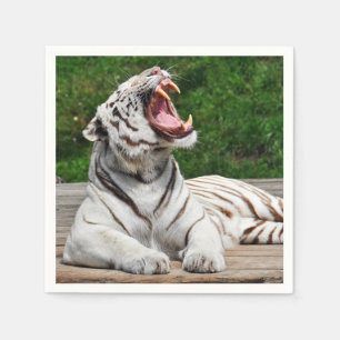 Servilleta de papel de tigre de Bengala blanco