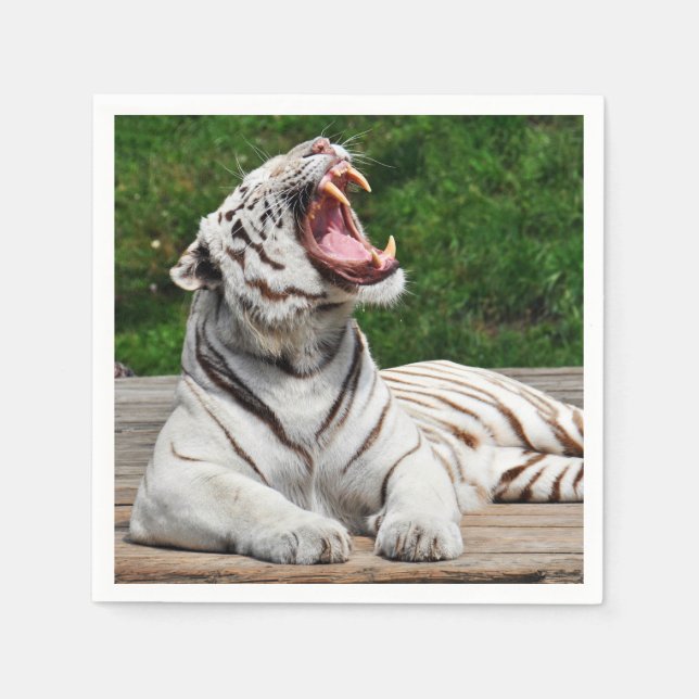 Servilleta de papel de tigre de Bengala blanco (Anverso)