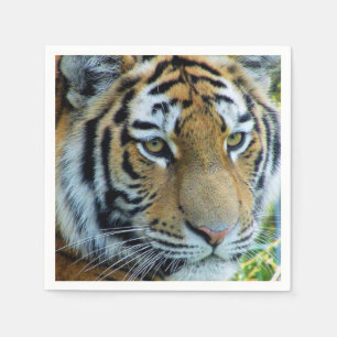 Servilleta de papel de Tigre Siberiano, Tigre de A