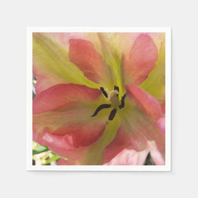Servilleta de papel de tulipán rosa y amarillo (Anverso)