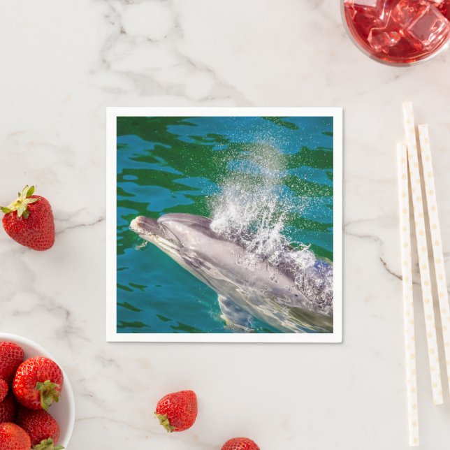 Servilleta De Papel Delfín En Milford Sound, Nueva Zelanda (In situ)