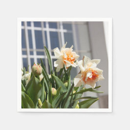 Servilleta De Papel Delicada primavera de daffodils tiernos