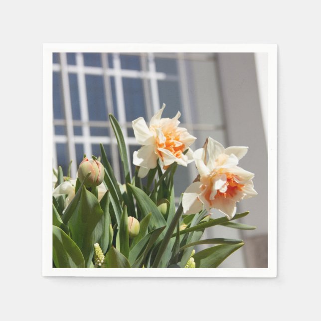 Servilleta De Papel Delicada primavera de daffodils tiernos (Anverso)
