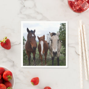 Servilleta De Papel Deliciosos problemas de caballos, servilletas de p