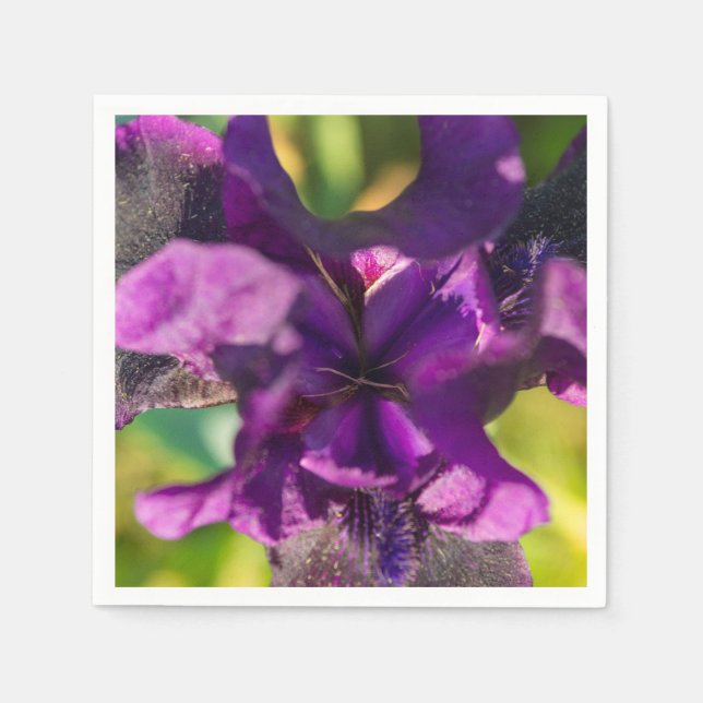 Servilleta De Papel Dentro de un Iris (Anverso)