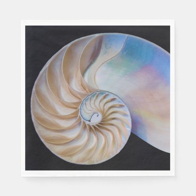 Servilleta De Papel Dentro Del Nautilus (Anverso)