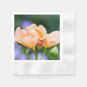 Servilleta De Papel deseo de desarrollo