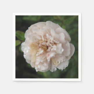 Servilleta De Papel Dew on a Flower