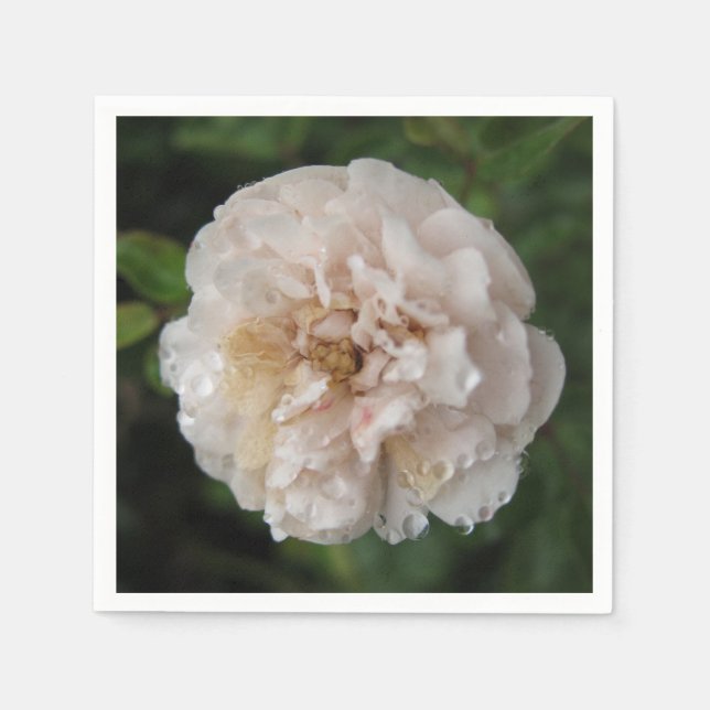 Servilleta De Papel Dew on a Flower (Anverso)