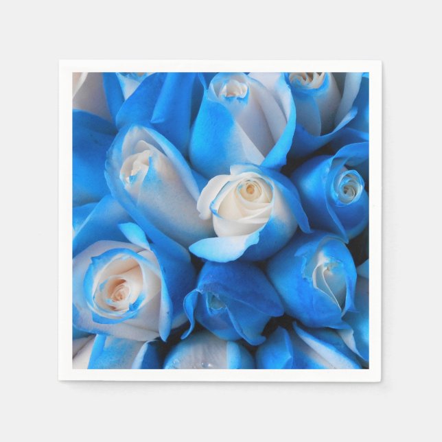 Servilleta De Papel Diemudis (Anverso)