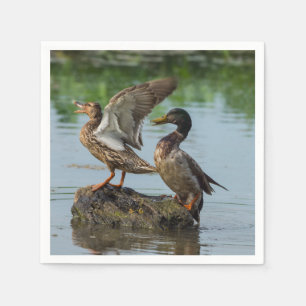 Servilleta De Papel Disculpa