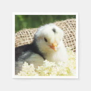Servilleta De Papel divertidos animales lindos granja de pollo iPad Pr