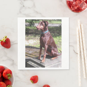 Servilleta De Papel doberman rojo