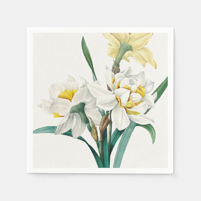 Servilleta De Papel Doble Narciso, Pierre-Joseph Redouté, 1827 (Anverso)