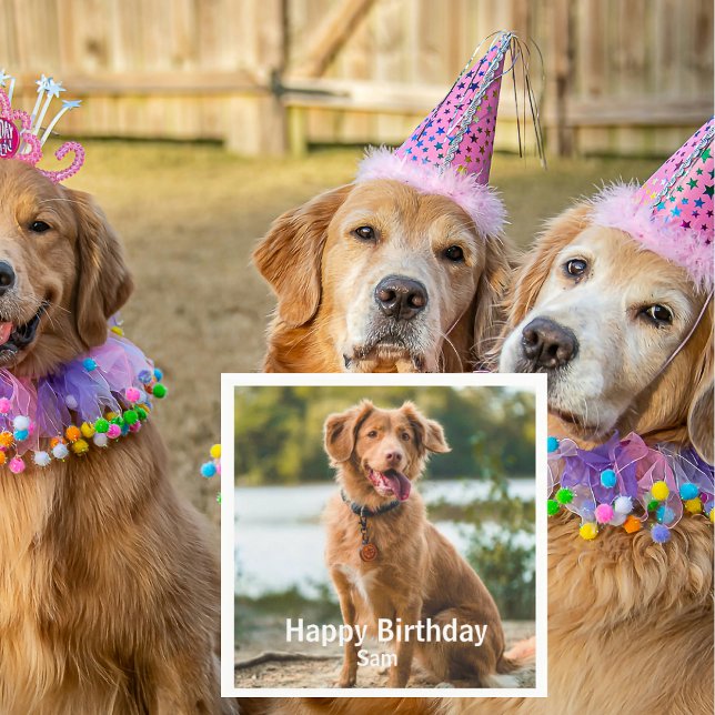 Servilleta De Papel Dog Photo Personalized Birthday Cocktail (Subido por el creador)