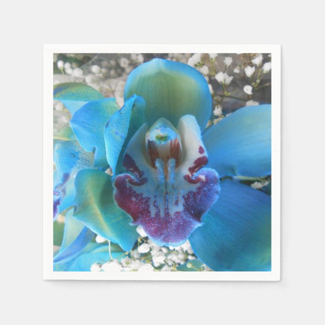 Servilleta De Papel Donella (Anverso)