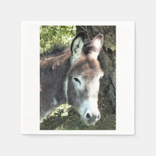 SERVILLETA DE PAPEL DONKEY